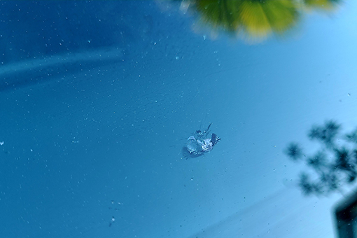 Blue Skies Seen Through a Chipped Car Windows That Needs Auto Glass Repair in Pasco County FL