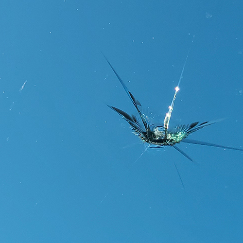 Cracked Windshield in Riverview Florida In Need of Auto Repair Services